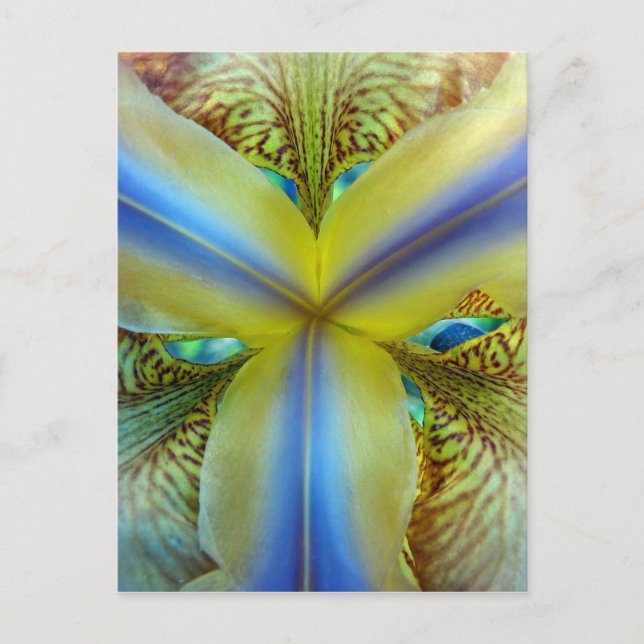 Postal Interior de Iris (Anverso)