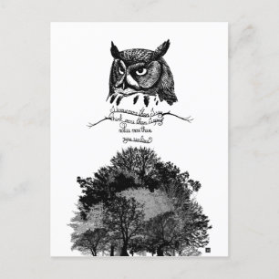 Postal Introvert Empath Owl sabiduría ilustrada cita de t