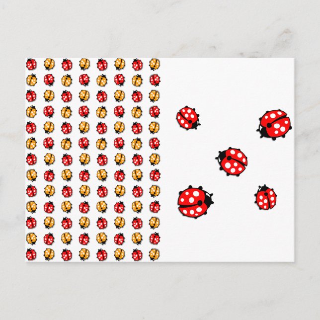 Postal Invasión de mariquitas (Anverso)