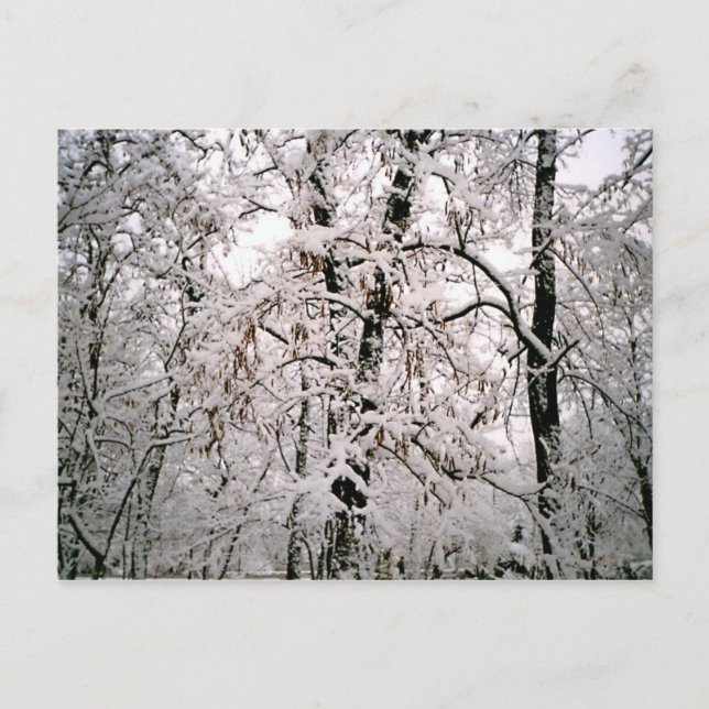 Postal Invierno (Anverso)