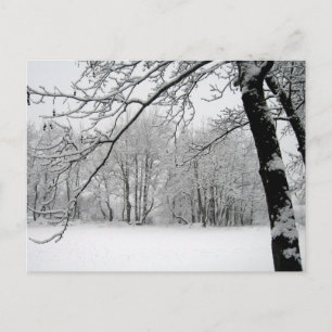 Postal invierno