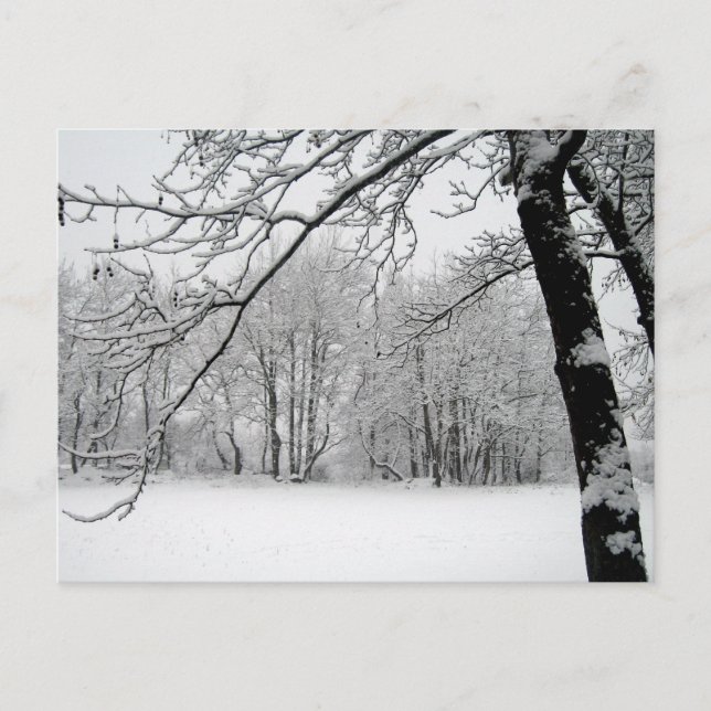 Postal invierno (Anverso)