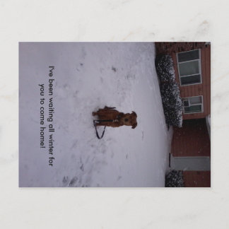 Postal Invierno Away