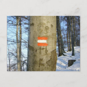 Postal invierno de austria de bandera