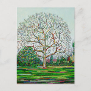 Postal Invierno de Bow Tree