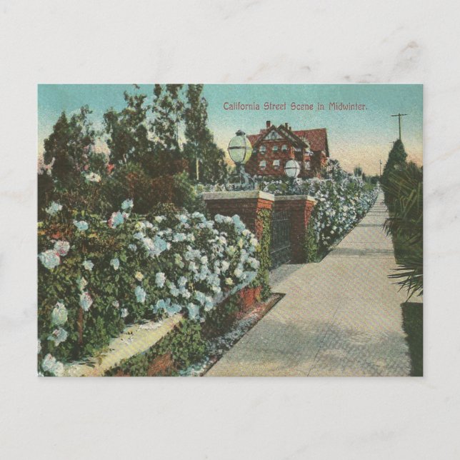Postal Invierno de California Vintage (Anverso)