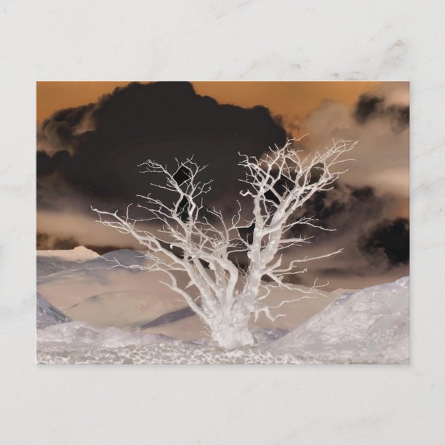 POSTAL INVIERNO DE MONTAÑA (Anverso)