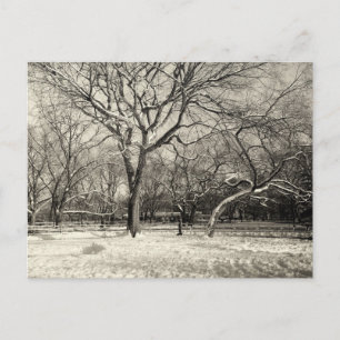 Postal Invierno de Nueva York - Nieve de la Aldea Orienta