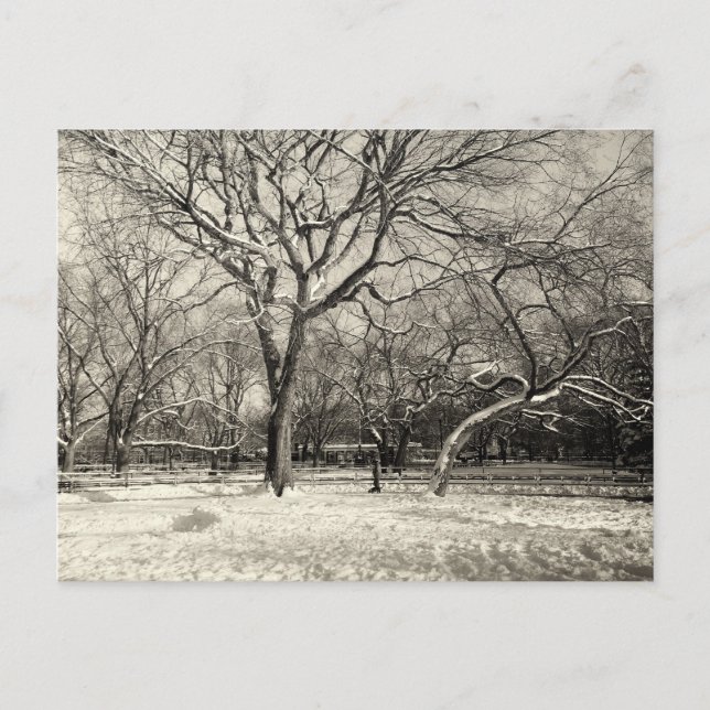 Postal Invierno de Nueva York - Nieve de la Aldea Orienta (Anverso)