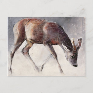 Postal Invierno de Roe Buck 2000