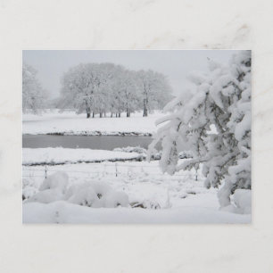 Postal Invierno de Texas Oriental, 2009
