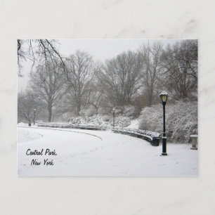 Postal Invierno en Central Park