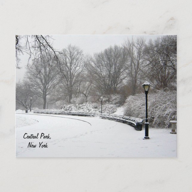 Postal Invierno en Central Park (Anverso)