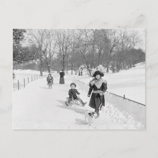 Postal Invierno en Central Park, 1900 (Anverso)