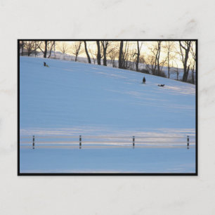 Postal ~ Invierno en el condado de Lancaster ~ 5