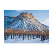 Invierno en el País Vino de Colorado