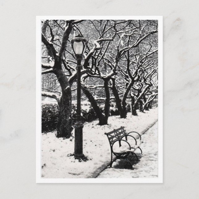 Postal Invierno en el parque - Postcard (Anverso)