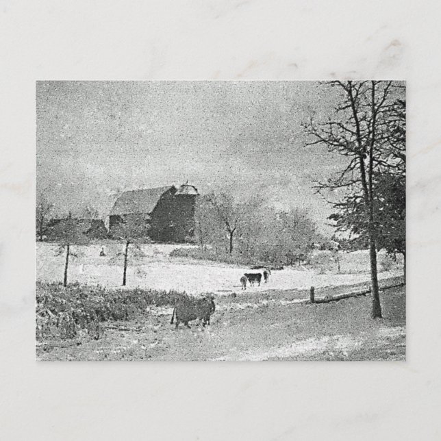Postal Invierno en la granja (Anverso)