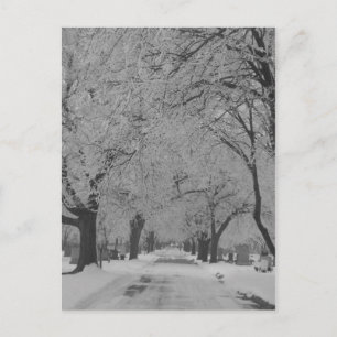 Postal Invierno En La Postcarta De Nebraska