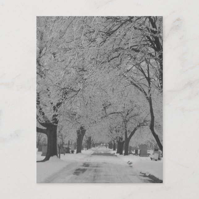 Postal Invierno En La Postcarta De Nebraska (Anverso)