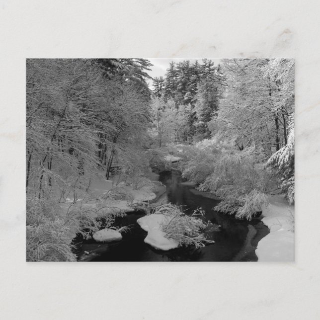 Postal Invierno En Nueva Inglaterra (Anverso)