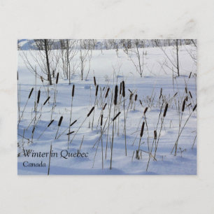 Postal Invierno en Quebec, Canadá
