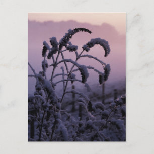 Postal Invierno, Norfolk, Inglaterra - Postcard