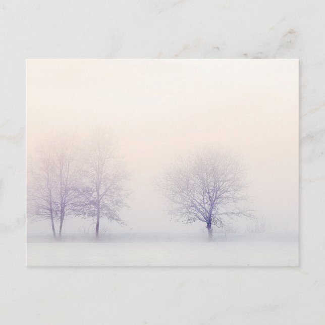 Postal Invierno Pacífico (Anverso)