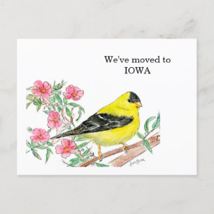 Postal Iowa
