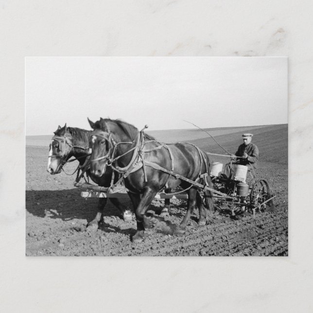 Postal Iowa Corn Planter, años 40 (Anverso)