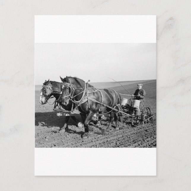 Postal Iowa Corn Planter, años 40 (Anverso)