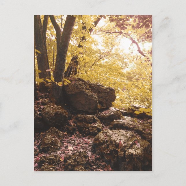 Postal iowa del parque de estados de la columna vertebral (Anverso)