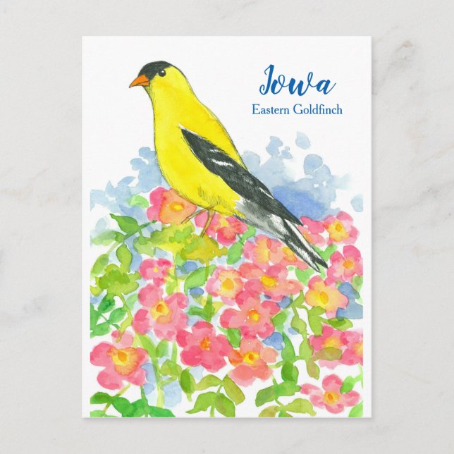 Postal Iowa Rosas silvestres rosados de Goldfinch Orienta (Anverso)