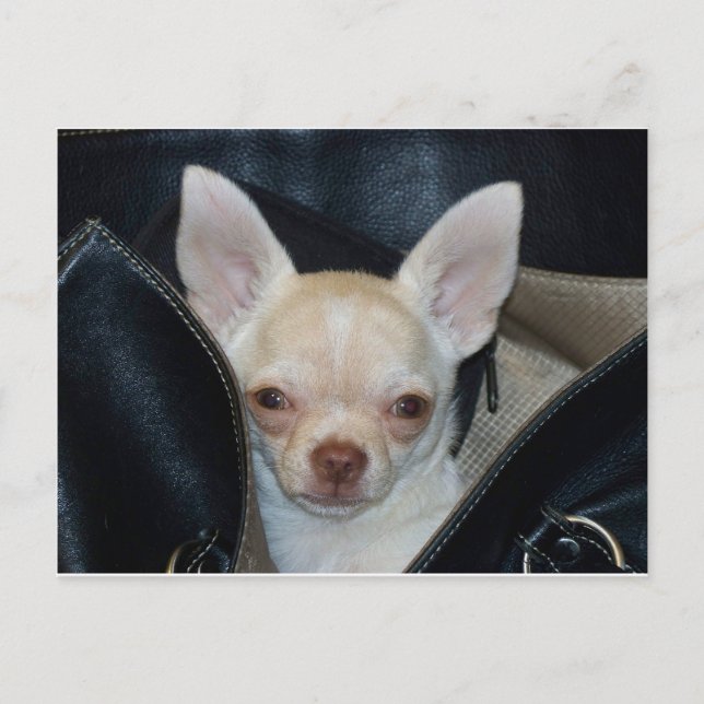 Postal Ir a dar un paseo (Anverso)