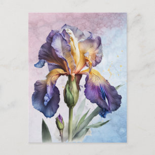 Postal Iris