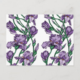 Postal Iris