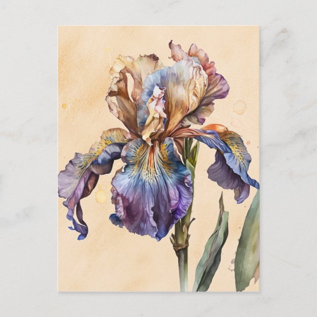 Postal Iris (Anverso)