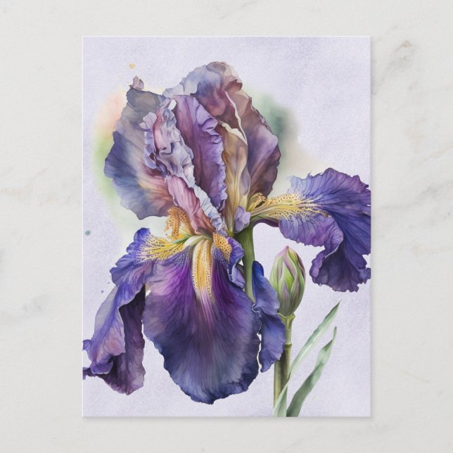 Postal Iris (Anverso)