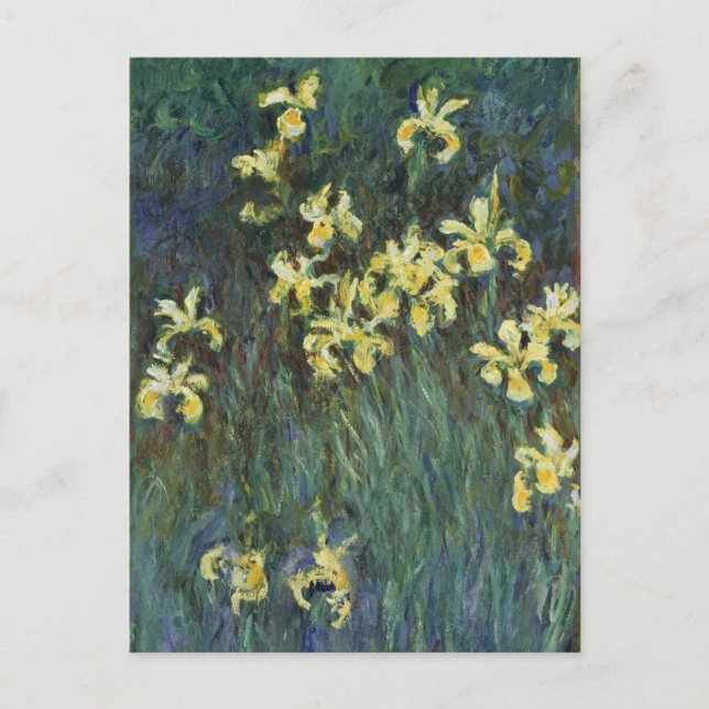 Postal Iris amarillos de Claude Monet, Arte Antiguo Fino (Anverso)