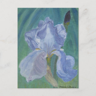 Postal Iris barbudo de la lavanda