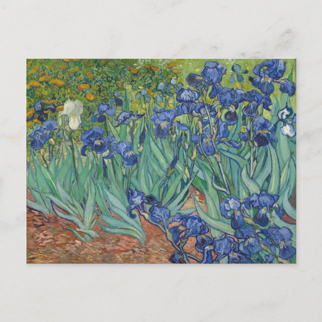 Postal Iris Blue Green Yellow Van Gogh (Anverso)