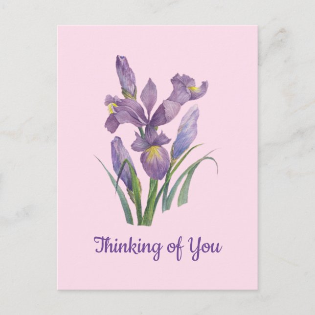 Postal Iris Botánico de Acuarela Púrpura Pensando en Ti (Anverso)