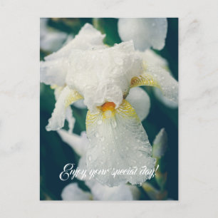 Postal Iris con gotitas de agua