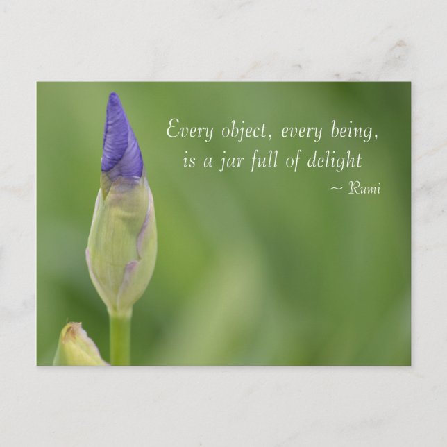 Postal iris de primavera (Anverso)