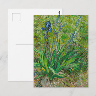 Postal Iris de Van Gogh - Arte Floral Azul Clásico