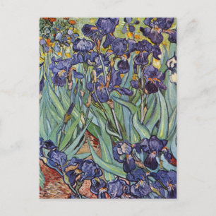 Postal Iris de Van Gogh Pintura Impresionista