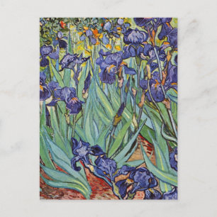 Postal Iris de Van Gogh Pintura Impresionista