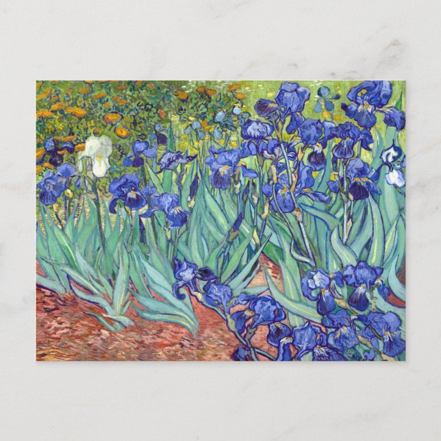 Postal Iris de Vincent van Gogh (Anverso)