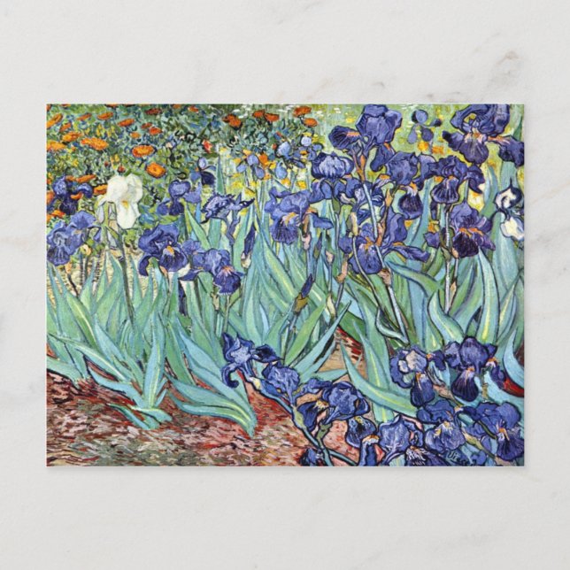 Postal Iris de Vincent van Gogh 1898 (Anverso)