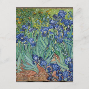 Postal Iris de Vincent van Gogh que pintan el trabajo de